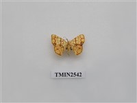 藏品(尺蛾29)的圖片